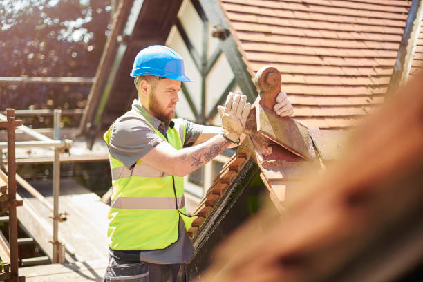 Best Roof Gutter Cleaning  in Robbins, NC
